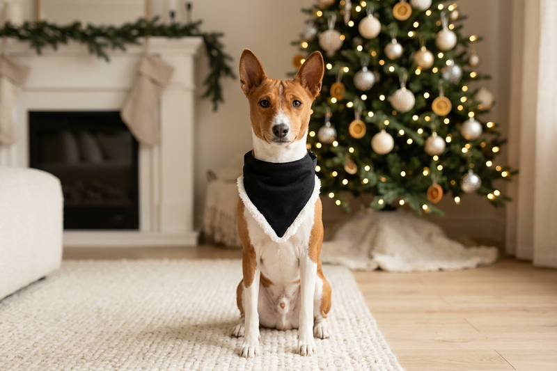 Christmas Bandana