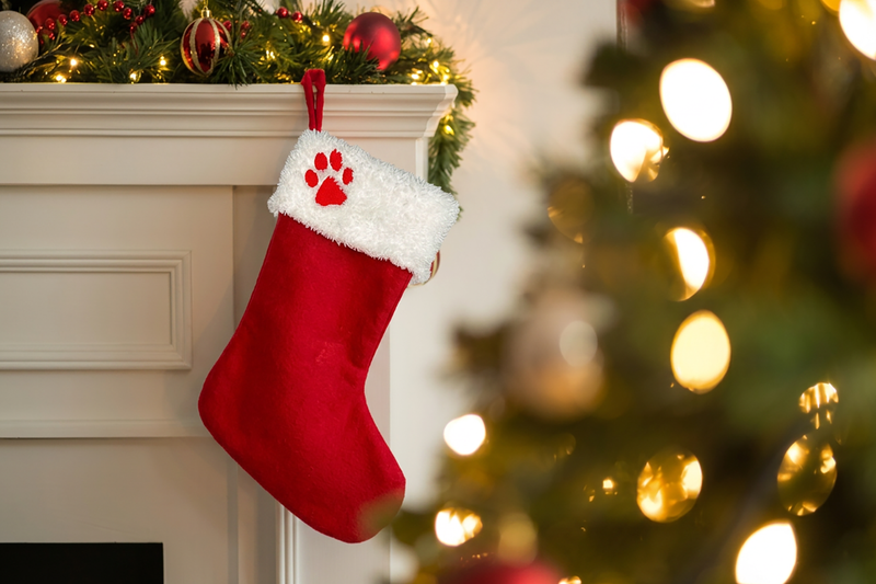 Christmas Stocking