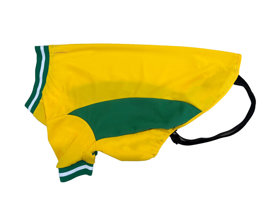 Yellow/Green