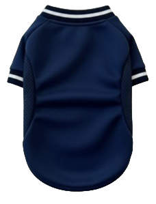 Navy/White